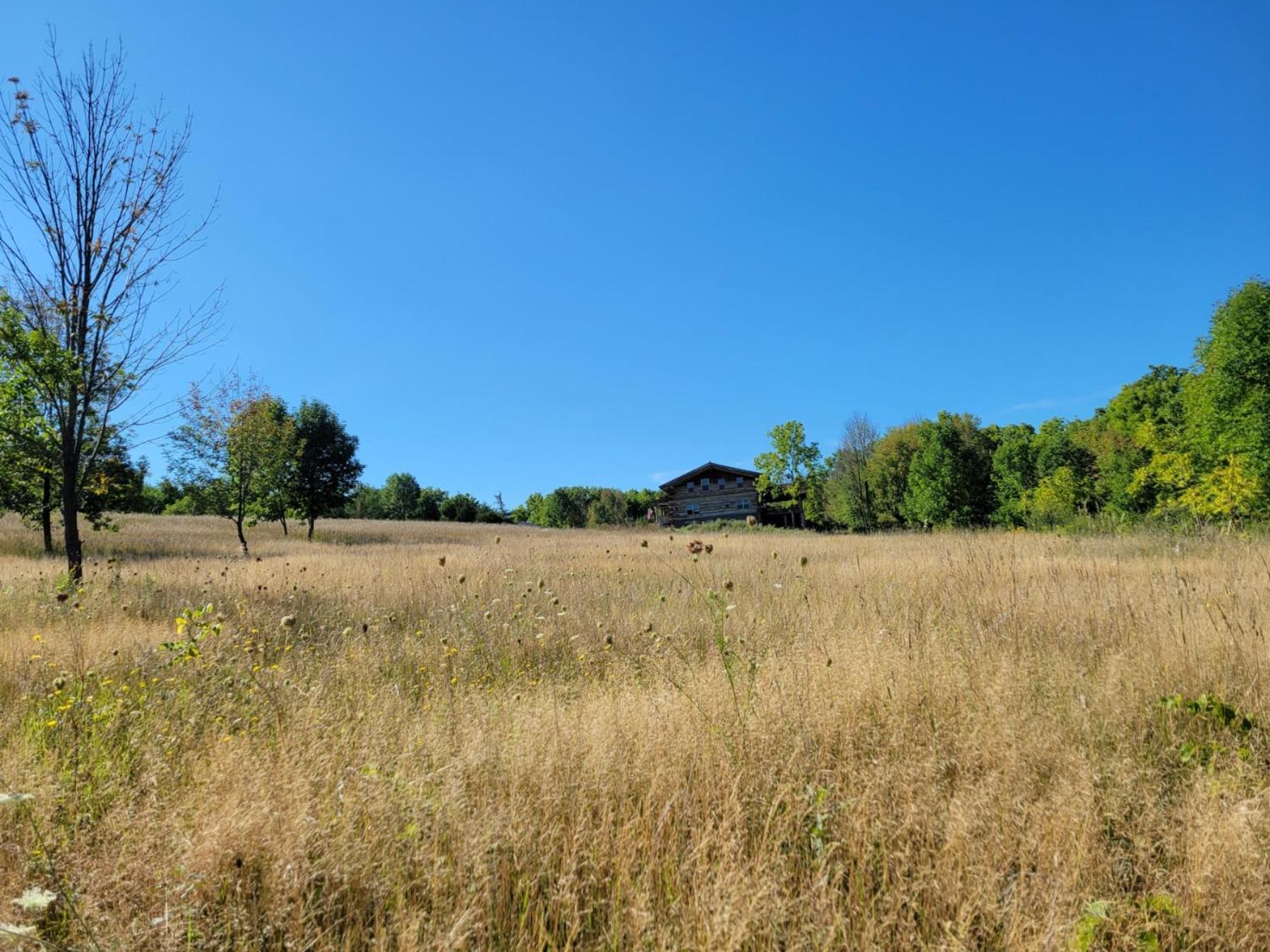 Livonia Firefly Creek Lodge מראה חיצוני תמונה